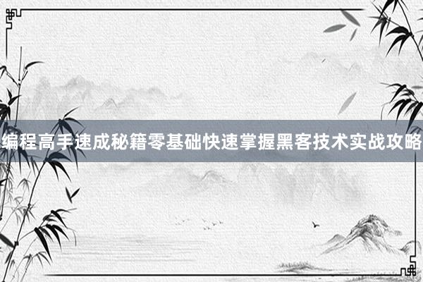 编程高手速成秘籍零基础快速掌握黑客技术实战攻略