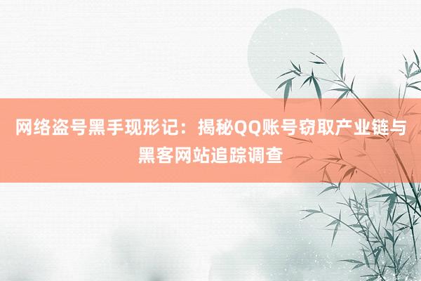 网络盗号黑手现形记：揭秘QQ账号窃取产业链与黑客网站追踪调查